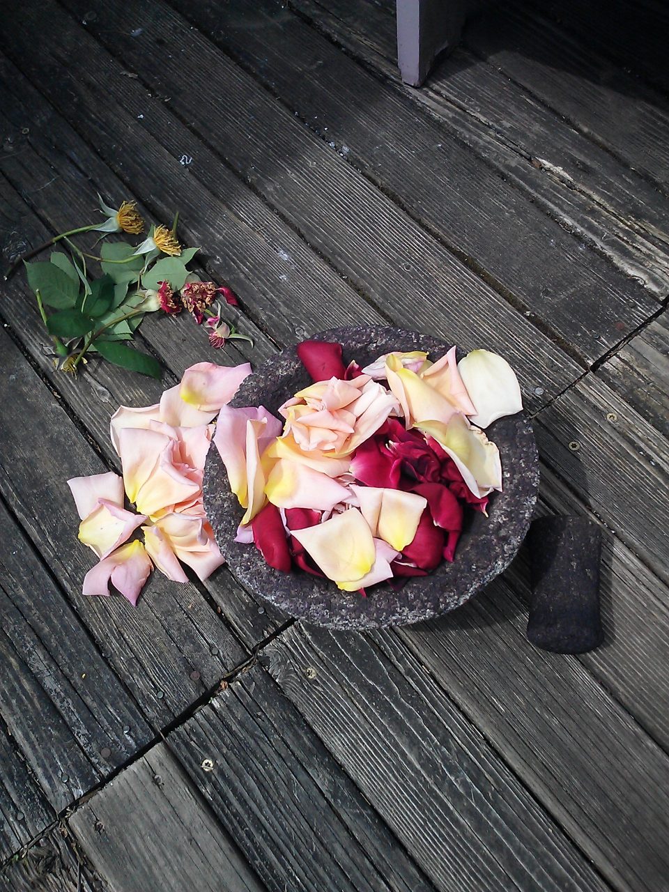 Roses